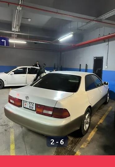 куплю тайета виндом: Toyota Windom: 1998 г., 2.5 л, Автомат, Бензин, Седан — 2