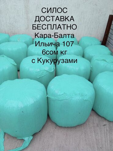 Корма для с/х животных: Продаю Силос качество выше меньше тонна 6.50 больше тонна 6сом кг есть