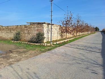 kupça: 200 sot, Tikinti, Mülkiyyətçi, Kupça (Çıxarış) — 5
