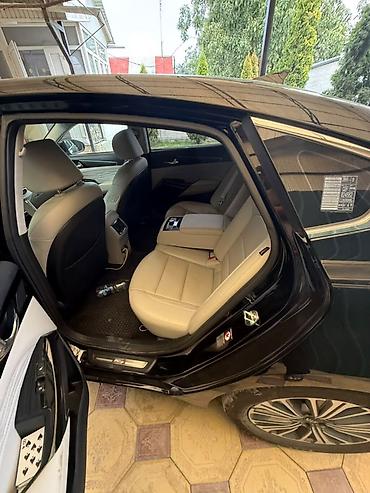 подсветка для салона автомобиля: Kia Cadenza: 2020 г., 2.4 л, Автомат, Гибрид, Седан — 5