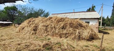 старый диван в обмен на новый: Сено договорная