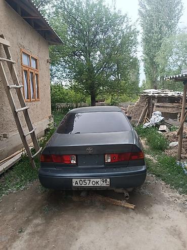 ноускат камри 70: Toyota Camry: 2000 г., Автомат, Седан — 3