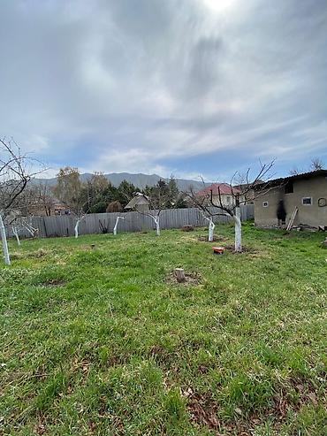 Продажа участков: 11 соток, Для бизнеса, Красная книга at lalafo.kg — 9 Продажа участков: 11 соток, Для бизнеса, Красная книга — 9