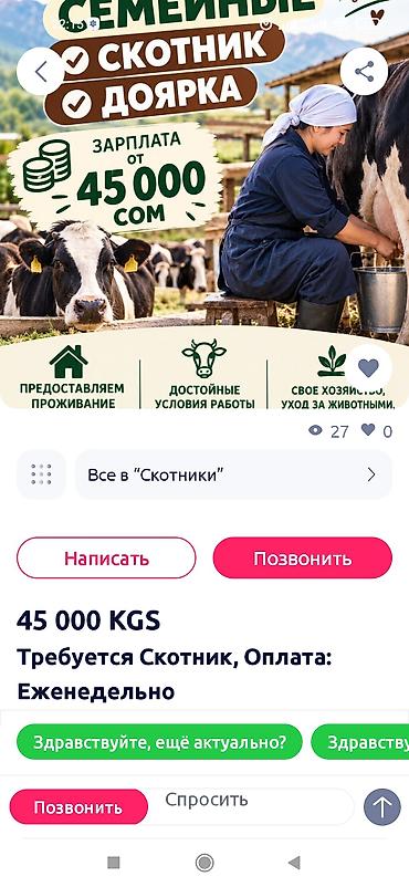 фасад жумуш: Талап кылынат Малчы, Төлөм: Жума сайын — 1