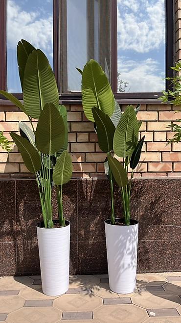 солнечные лампы: Instagram:Mayram.decor.kg Искусственные растения в кашпо для дома — 4