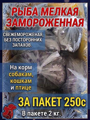 брама курица: Рыба мелкая, замороженная. - Свежемороженая, без посторонних запахов — 1