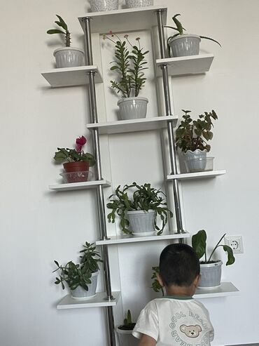 полки для овощей: Этажерка для цветов, ЛДСП at lalafo.kg полки для овощей: Этажерка для цветов, ЛДСП