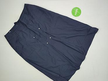 plisowanka: Spódnica damska, rozmiar 2XL — 2