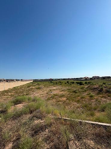 Torpaq: 66 sot, Tikinti, Kupça (Çıxarış) — 1