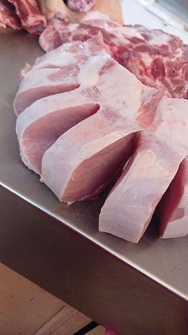 Свиньи: Продаю | Свинья (самка) | На забой — 8