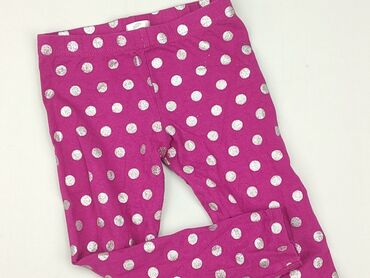 legginsy bawełniane gatta: Leggings for kids, Pepco, 5-6 years, 116, condition - Very good