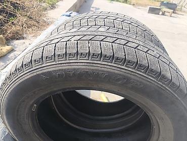 she: Шины 205 / 65 / R 16, Зима, Б/у, Пара, Легковые, Япония, Dunlop — 2