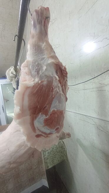 Ət: Məhsul: Qaban (donuz) əti – karkas və hissələr
və sala 7 manat — 6