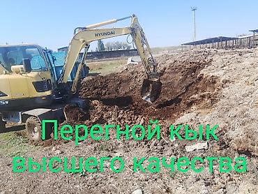 портер дрова: Вывоз мусара вывоз мусара вывоз мусара — 2