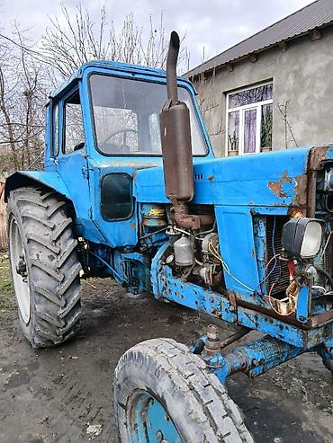 Traktorlar: Traktor Belarus (MTZ) 80, 1979 il, 80 at gücü, motor 4.7 l, İşlənmiş — 2