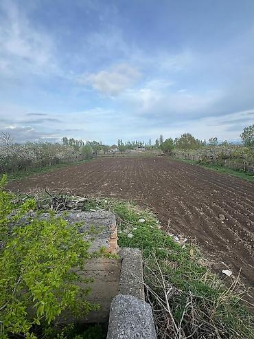 Продажа коттеджей и домов: Продаётся дом в селе Григорьевка, Искульского района, Иссыкульской — 7