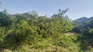 kiraye evler ayliq: 6 otaqlı, 437 kv. m — 3