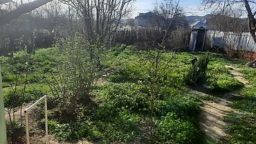 Torpaq sahələrinin satışı: Kənd təsərrüfatı, Kupça (Çıxarış) — 1