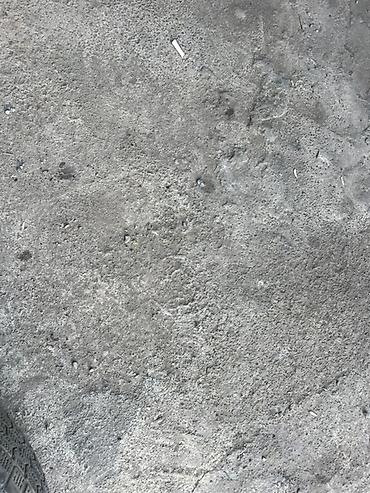Шины и диски: Запаска с шиной 2 штук шина диск баллон - Диск: штампованный — 9