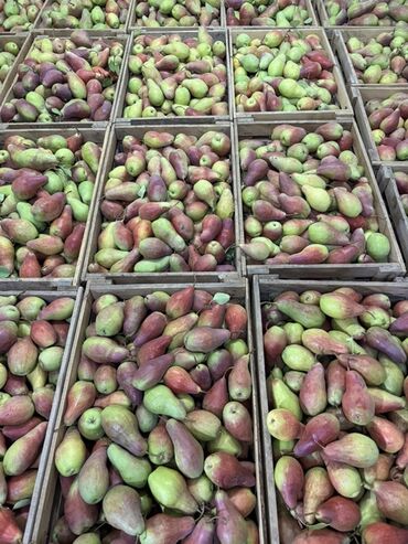 Груши: Груши В розницу, Самовывоз — 1