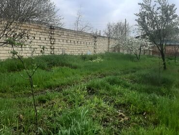 Bağ evlərinin satışı: Yerləşir:Göyçay rayonu Ərəb bələdiyyəsinin yanı trasın qrağı.25 sot -da lalafo.az — 11 Bağ evlərinin satışı: Yerləşir:Göyçay rayonu Ərəb bələdiyyəsinin yanı trasın qrağı.25 sot — 11
