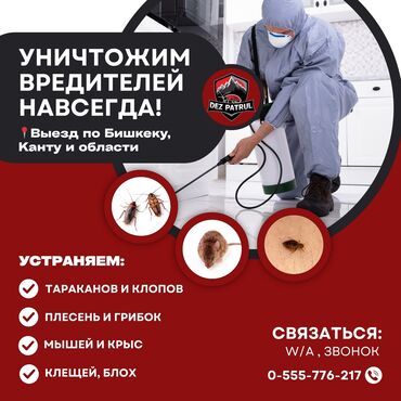 отдых на иссык куле 2025: Дезинфекция, дезинсекция, | Клопы, Блохи, Тараканы, | Транспорт, Офисы, Квартиры