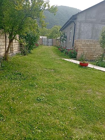 Günlük kirayə evlər: 100 kv. m, 3 otaqlı — 3