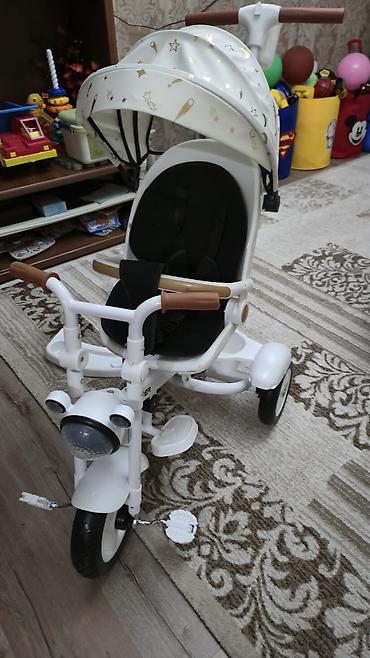 Коляски: Шикарные велоколяски, прочные и очень удобные! Металлокаркас. Кресла — 11