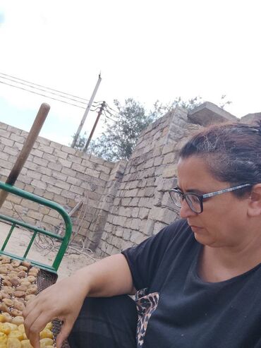 Quru meyvələr: Pirşaĝı quru enciri. Yayda Pirşaĝıda quruduruq. Kohne sovet krovatinda — 8