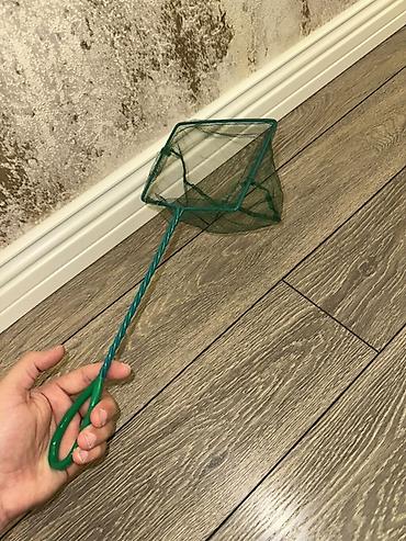 Akvariumlar: Dördbucaq akvarium, Boş, 6 l, Ünvandan götürmə — 7