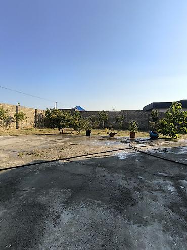 zabor: 12 sot torpaq Qala Şüvəlan yolun üzərində Məhsul: Həyət/bağ sahəsi — 3