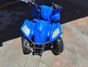 Квадроциклы: Квадроцикл Honda, Бензин, 110 куб. см, Детский