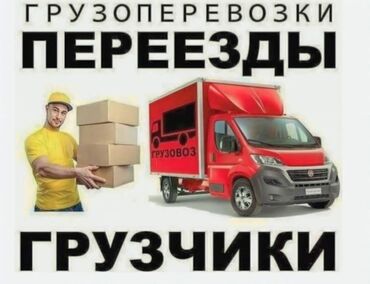 зонты для кафе: Жүк ташуучу. 6 жылдан ашык тажрыйба