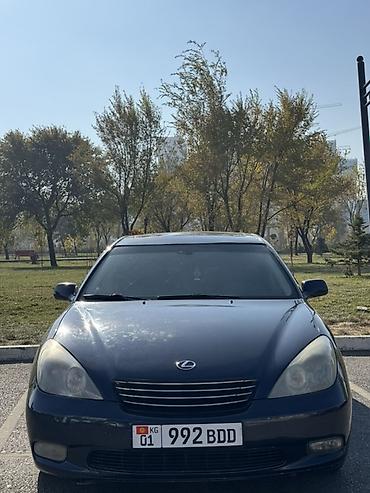 ес 250: Lexus ES: 2004 г., 3 л, Автомат, Газ, Седан — 2
