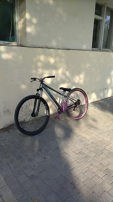 Dağ velosipedləri: Dirt/Street tipli tək sürüşlü (single-speed) velosiped — 3