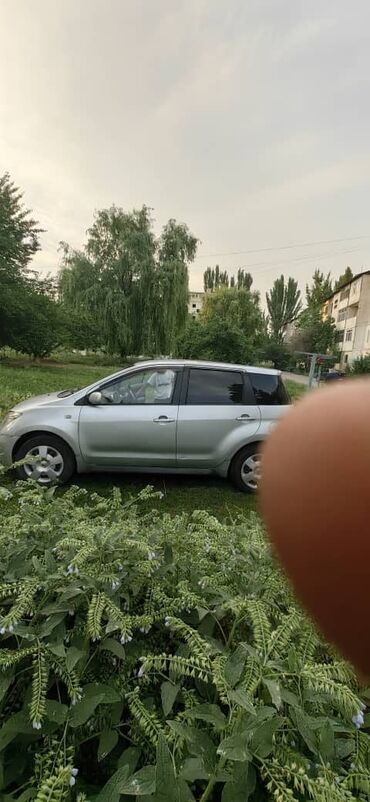 таёта ист: Toyota ist: 2002 г., 1.3 л, Автомат, Бензин, Хэтчбэк