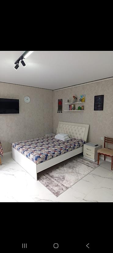 Посуточная аренда комнат: 24 м², С мебелью — 1