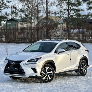 ключ на авто: Lexus NX: 2019 г., 2.5 л, Автомат, Гибрид, Кроссовер