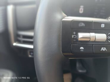 Hyundai: Hyundai Santa Fe: 1.6 l | 2024 il Ofrouder/SUV — 18