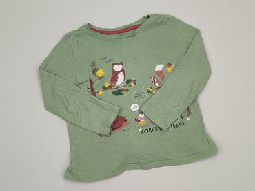 zielona bluzka z długim rękawem: Блузка, Little kids, 5-6 р., 116-122 см, стан - Хороший