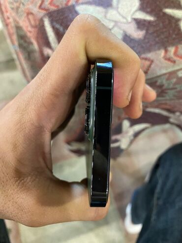 держатель телефона на стедикам fly tech 6: IPhone 13 Pro, 256 ГБ, Зеленый, Отпечаток пальца, Face ID