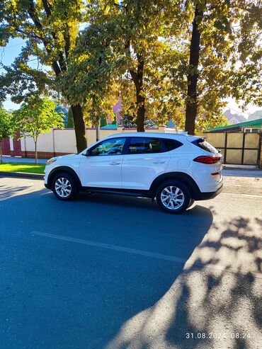 Hyundai: Hyundai Tucson: 2019 г., 2 л, Автомат, Бензин, Кроссовер — 2