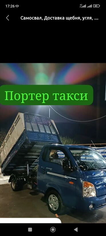 Другие животные: Вывоз мусора вывоз мусора вывоз. Вывоз мусора вывоз мусора вывоз
