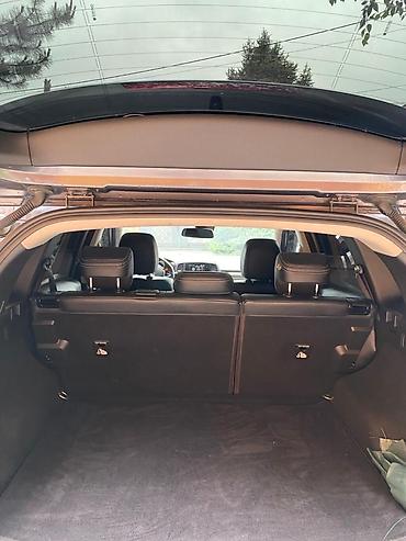 Renault Samsung: Renault Samsung QM6: 2020 г., 0.2 л, Автомат, Газ, Кроссовер — 10