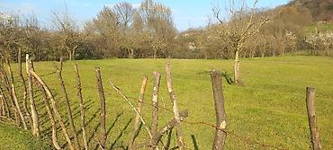 Torpaq sahələrinin satışı: Tikinti -da lalafo.az — 6 Torpaq sahələrinin satışı: Tikinti — 6