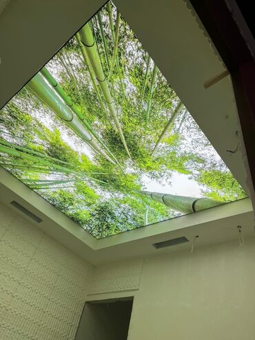 Tavan işləri: 💎Dartma Tavan💎 ⚪⬜Sadə Ag Tavan 1kvm - 30Azn 💠🔶️Şekilli Dekor Tavan -da lalafo.az — 22 Tavan işləri: 💎Dartma Tavan💎 ⚪⬜Sadə Ag Tavan 1kvm - 30Azn 💠🔶️Şekilli Dekor Tavan — 22