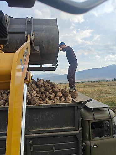 Услуги погрузчика: Услуги погрузчика. Договорная. Все вопросы по телефону. Погрузчик, не — 2
