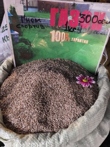 газон купить семена: Семена газонной травы (смесь для газона) - Назначение: создание