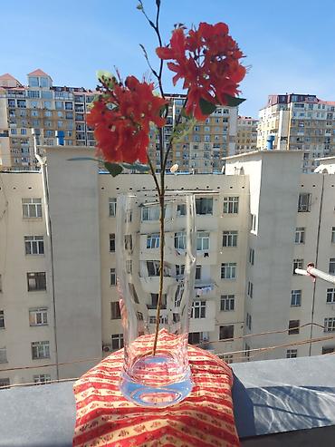 Vazalar: Bir vaza, Bogem şüşəsi — 1