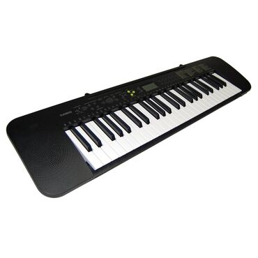 Другая аудиотехника: Casio ctk 240
синтезатор
состояние идеальное
торг уместен